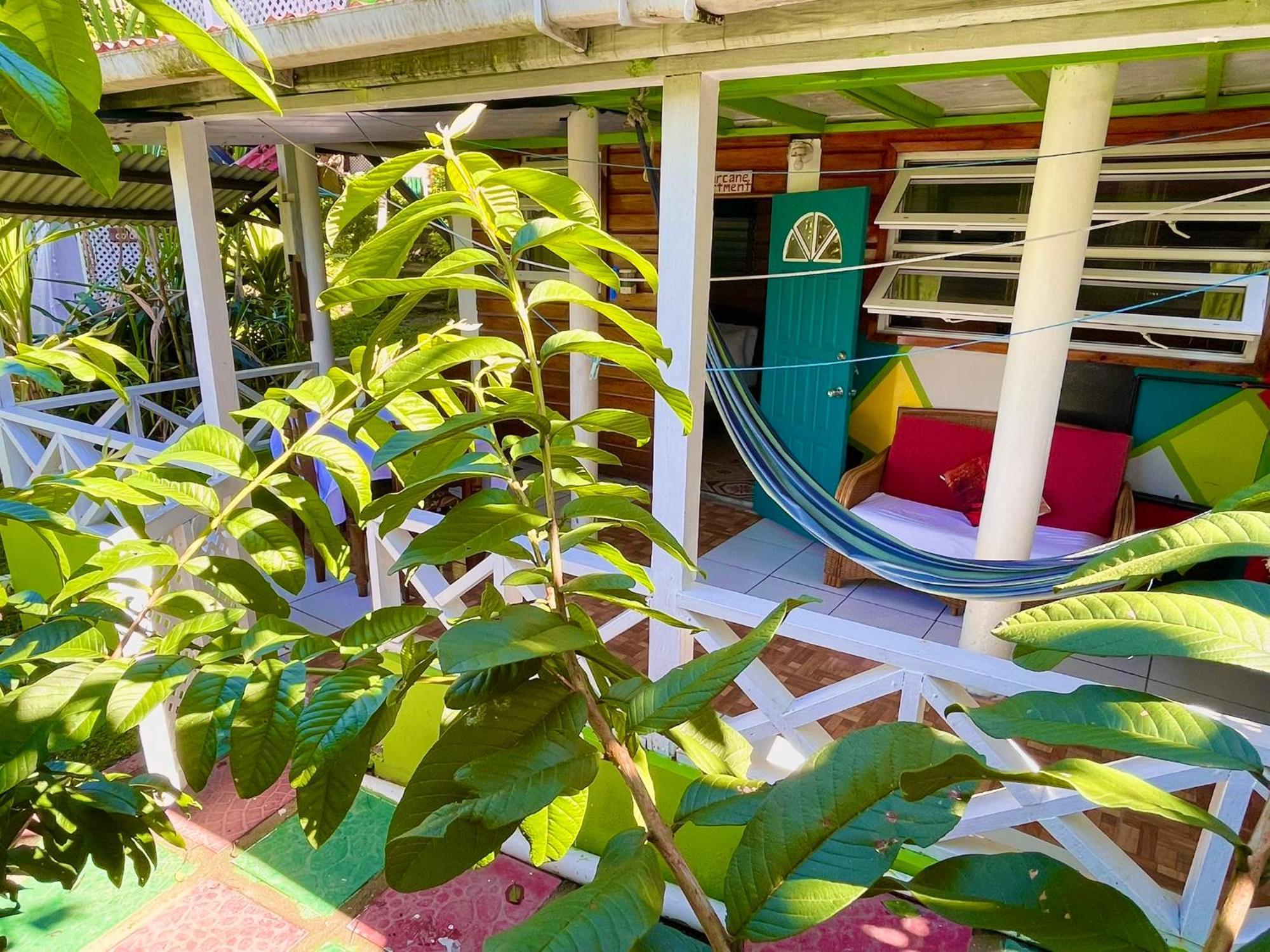 Le Petit Paradis 로조 외부 사진