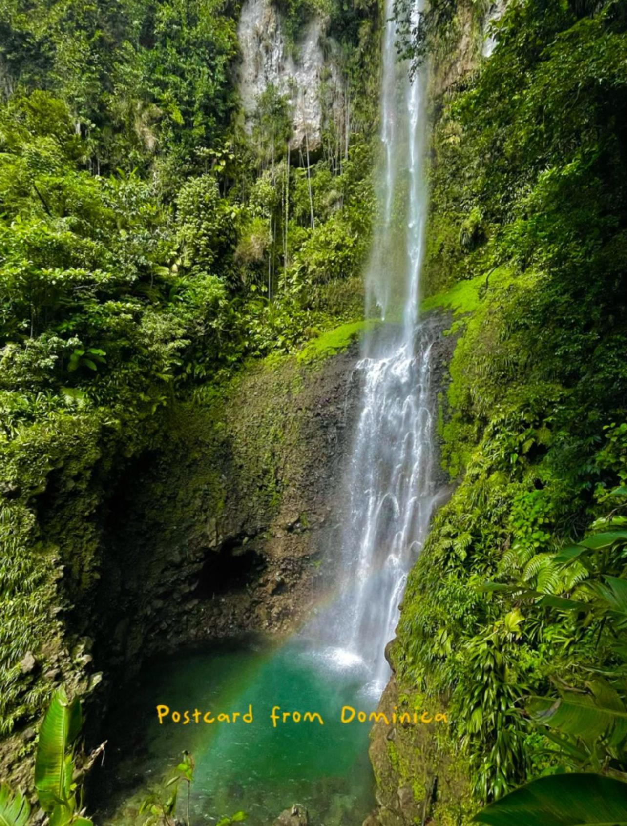 Le Petit Paradis 로조 외부 사진